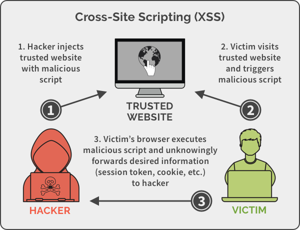 Cross Site Scripting (XSS)